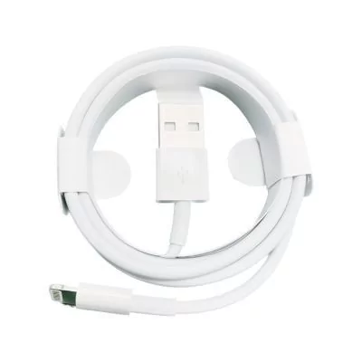 Cable USB-A vers LIGHTNING - ORIGINAL APPLE - sans boite - allintech.fr